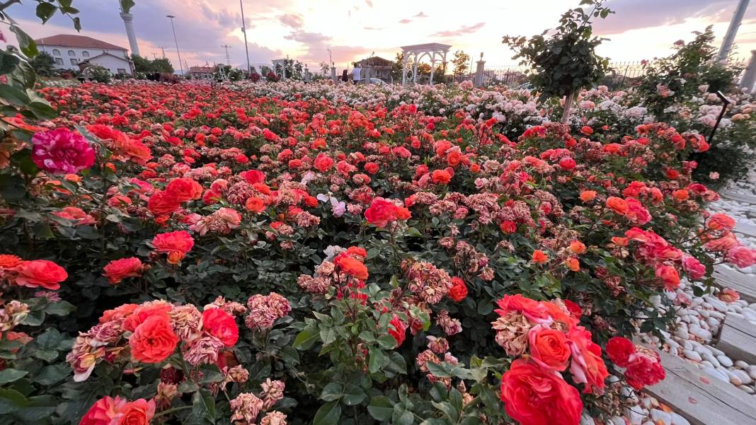 Konya’nın günbatımında masalsı manzara sunan parkı 30